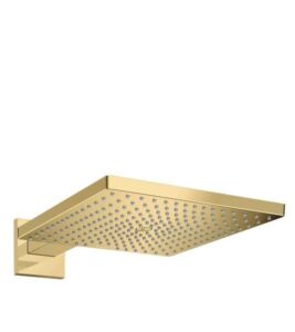 hansgrohe Kopfbrause Raindance E 300 1jet m Brausearm 390 mm PGO